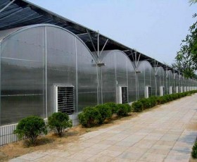 連棟薄膜溫室