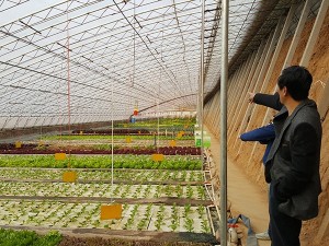 種養結合循環農業建設的重要性和緊迫性